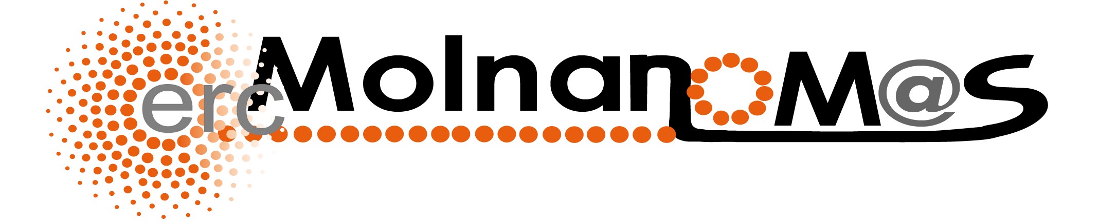 MOLNANOMASS logo 