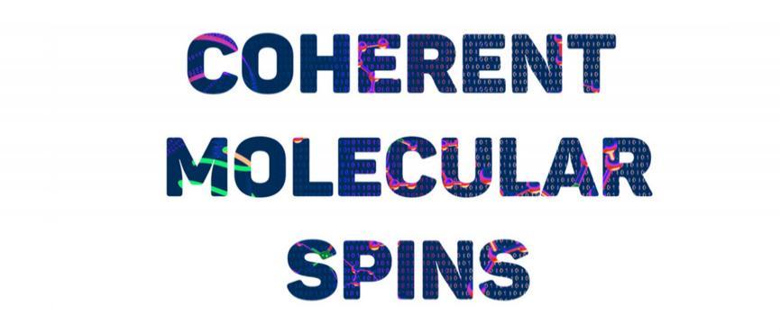 Coherent Molecular Spins