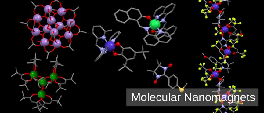 Molecular Nanomagnets