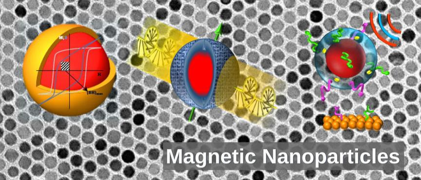 Magnetic Nanoparticles