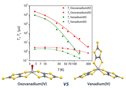 Quantum Coherence Times Enhancement Molecular Qubits