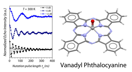 Room-Temperature Quantum Coherence and Rabi Oscillations 