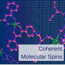 Coherent Quantum Spins