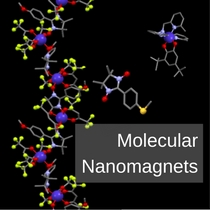 Molecular Nanomagnets